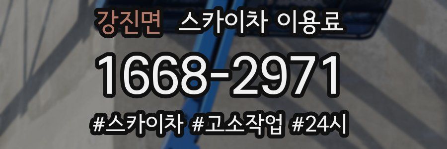 강진면 스카이차 이용료