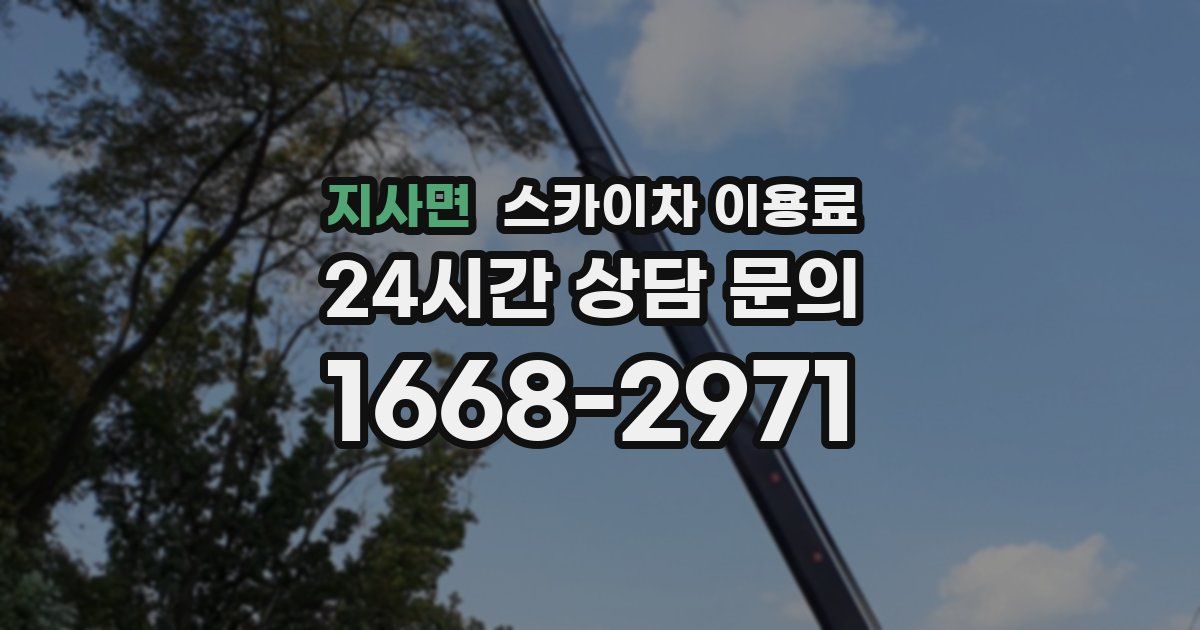 지사면 스카이차 이용료