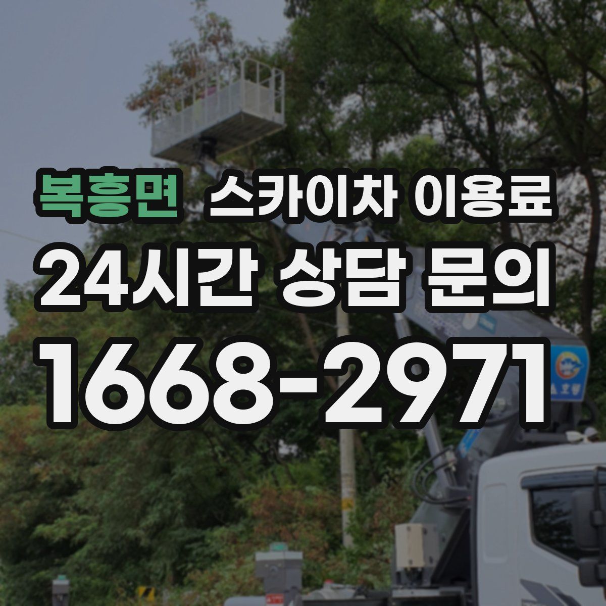 복흥면 스카이차 이용료