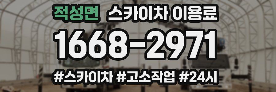 적성면 스카이차 이용료