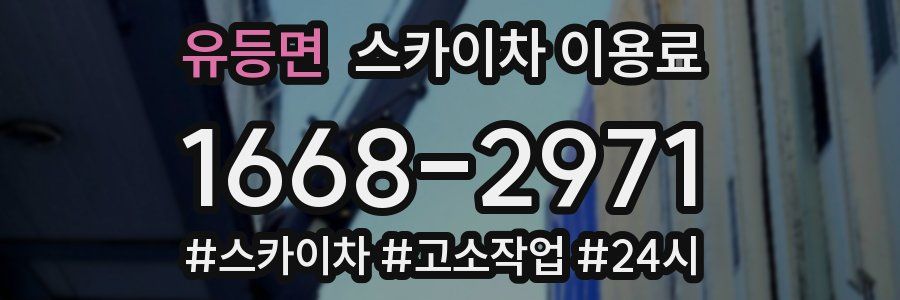 유등면 스카이차 이용료