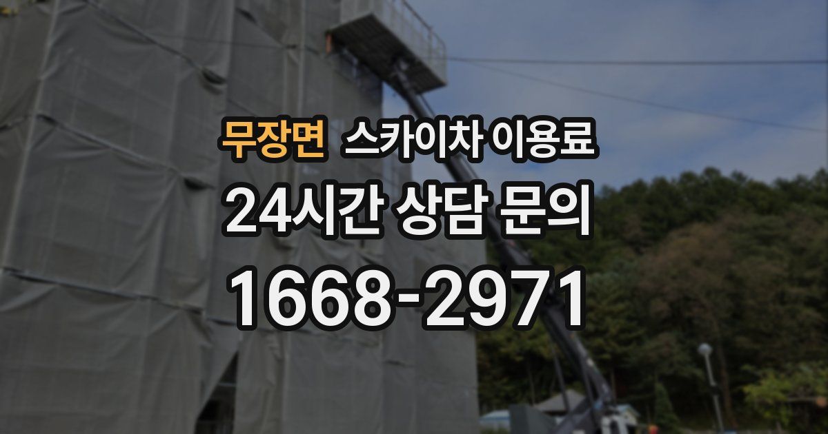 무장면 스카이차 이용료
