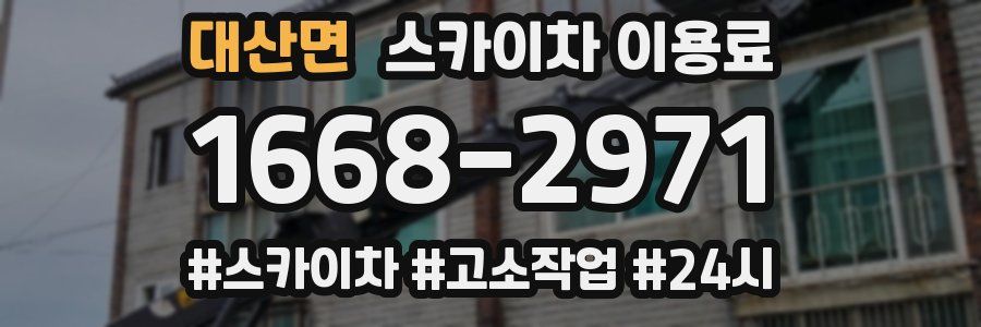 대산면 스카이차 이용료