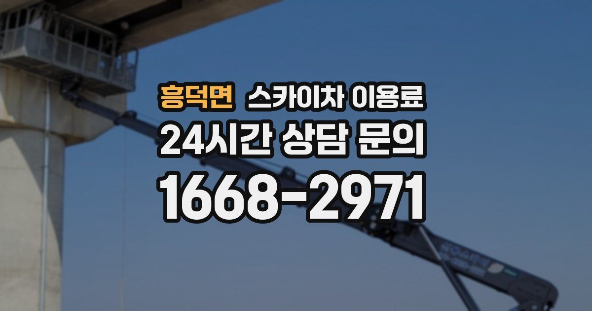 흥덕면 스카이차 이용료