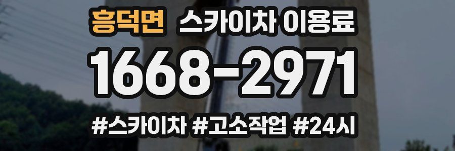 흥덕면 스카이차 이용료