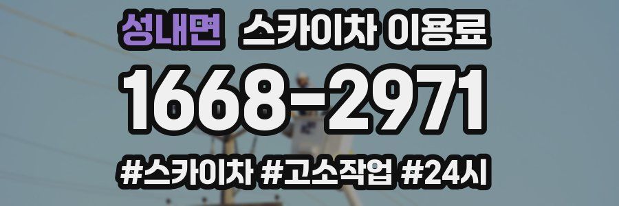 성내면 스카이차 이용료