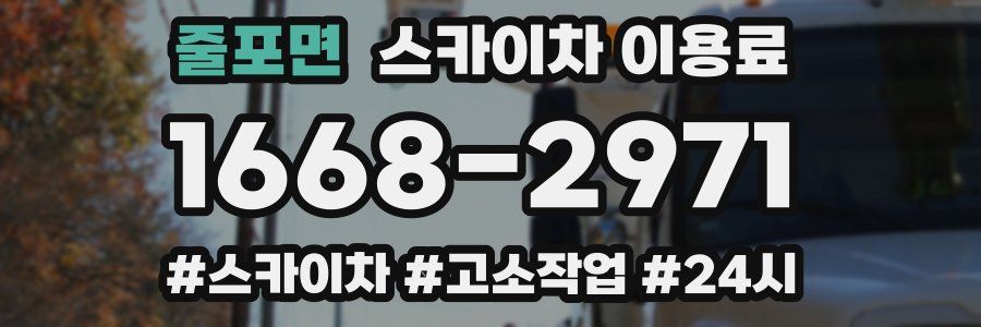 줄포면 스카이차 이용료
