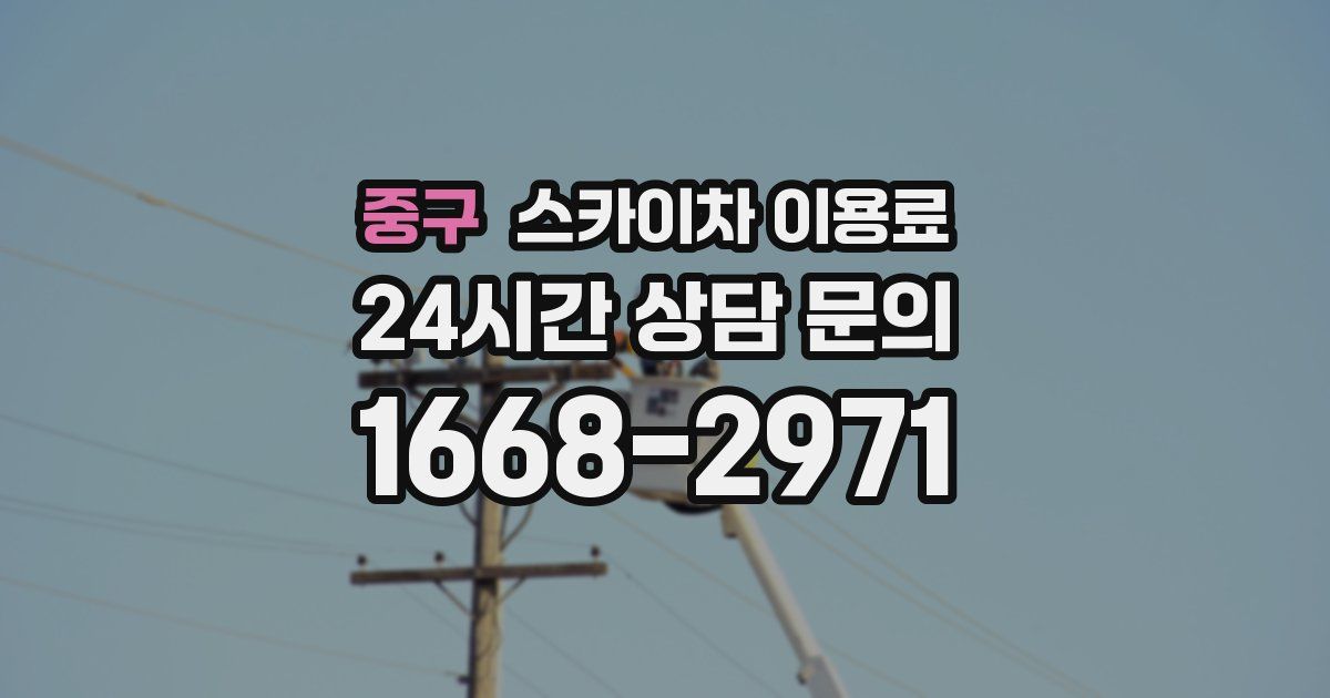 중구 스카이차 이용료