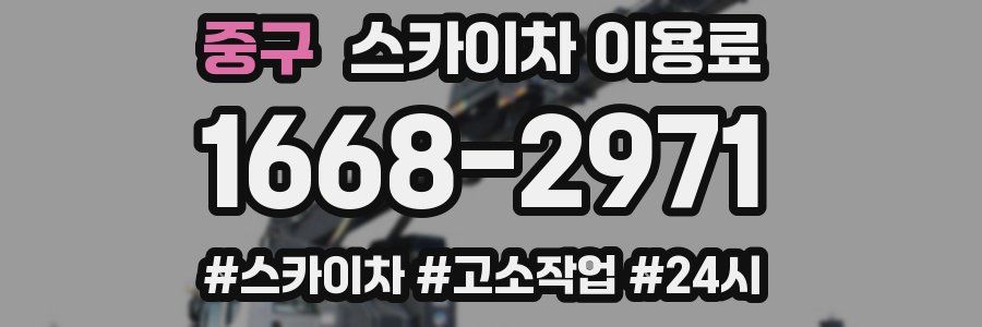중구 스카이차 이용료