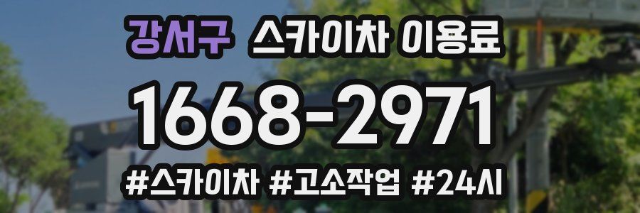 강서구 스카이차 이용료