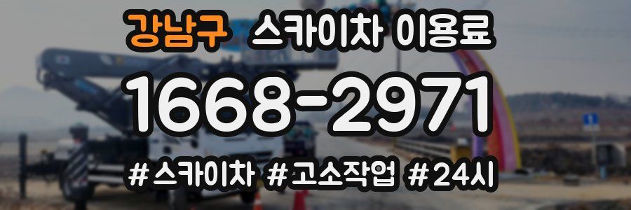강남구 스카이차 이용료