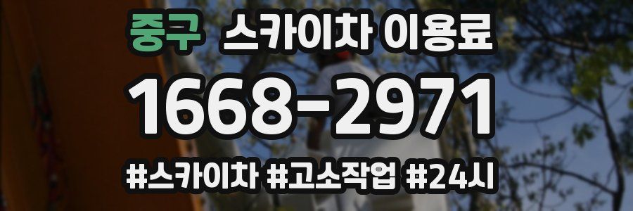 중구 스카이차 이용료