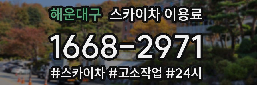 해운대구 스카이차 이용료