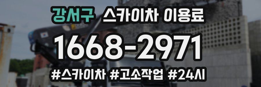 강서구 스카이차 이용료