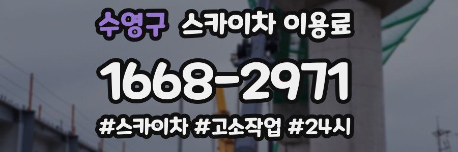 수영구 스카이차 이용료