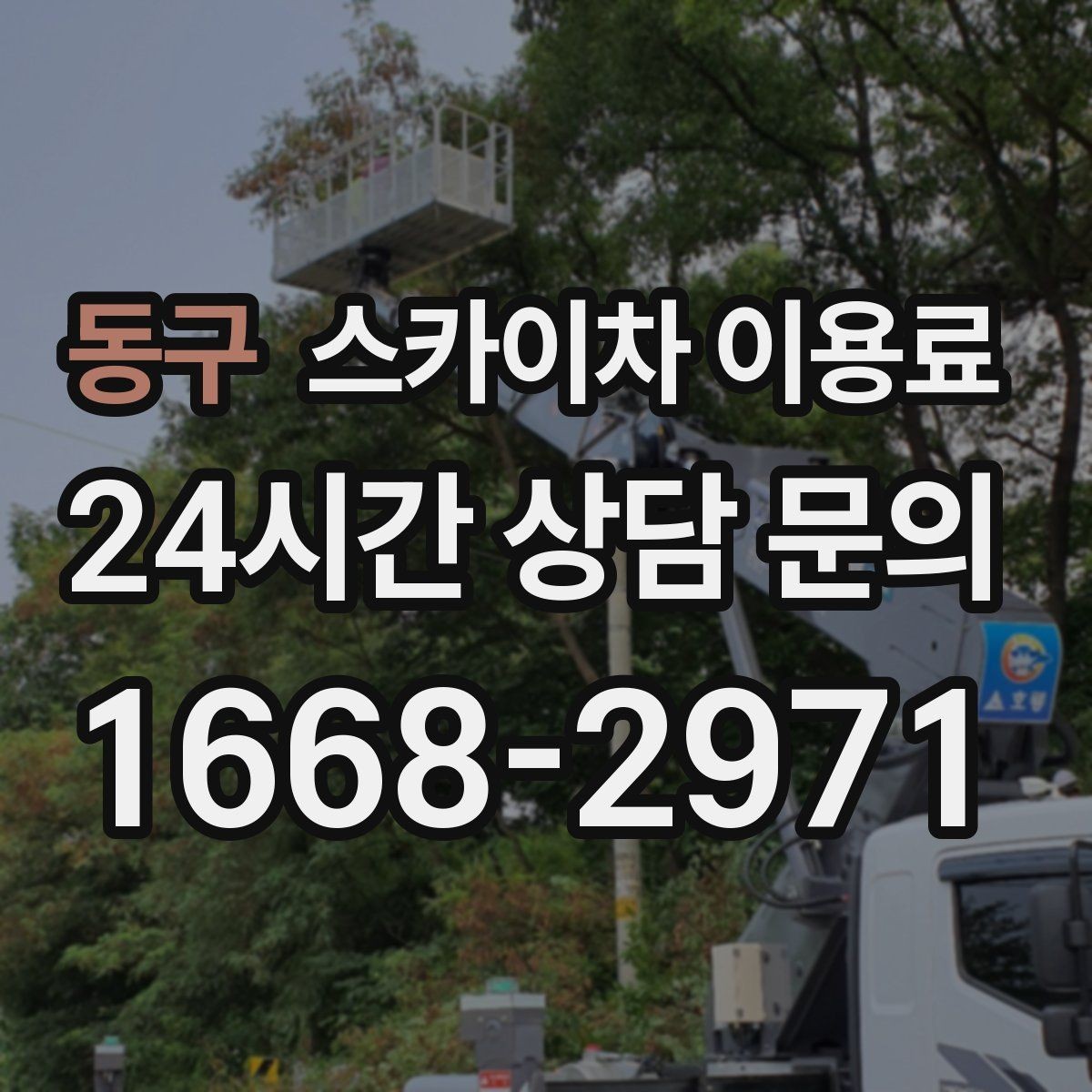 동구 스카이차 이용료 합리적으로 보는 방법