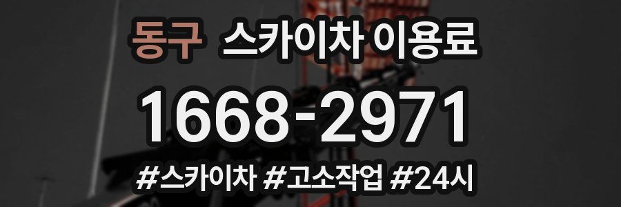 동구 스카이차 이용료