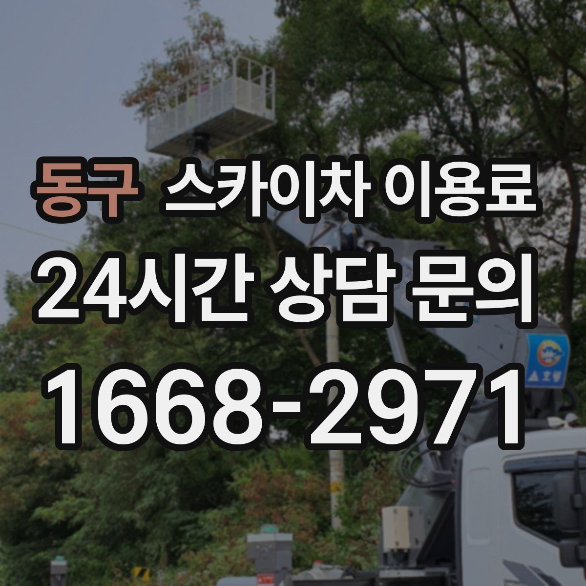 동구 스카이차 이용료