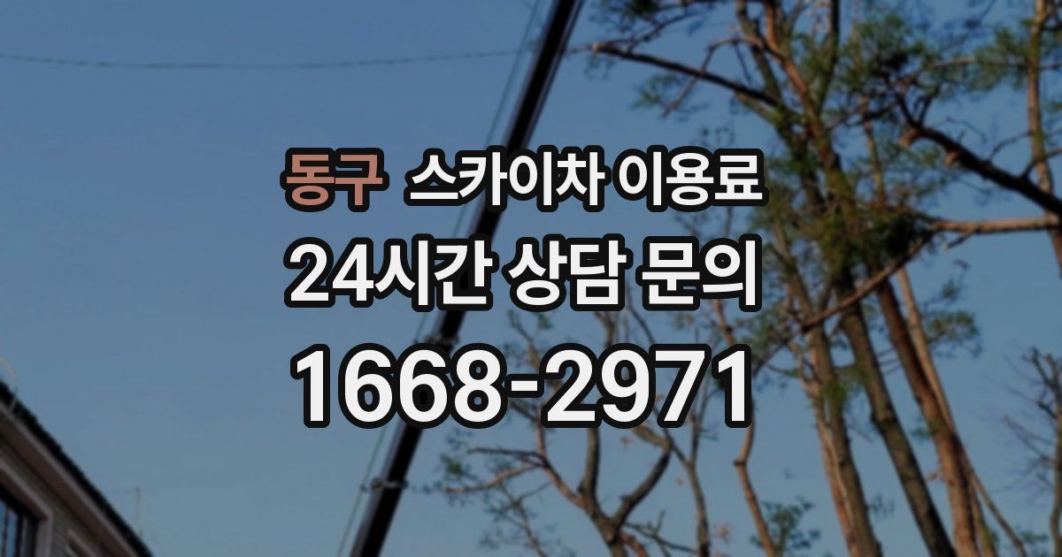 동구 스카이차 이용료