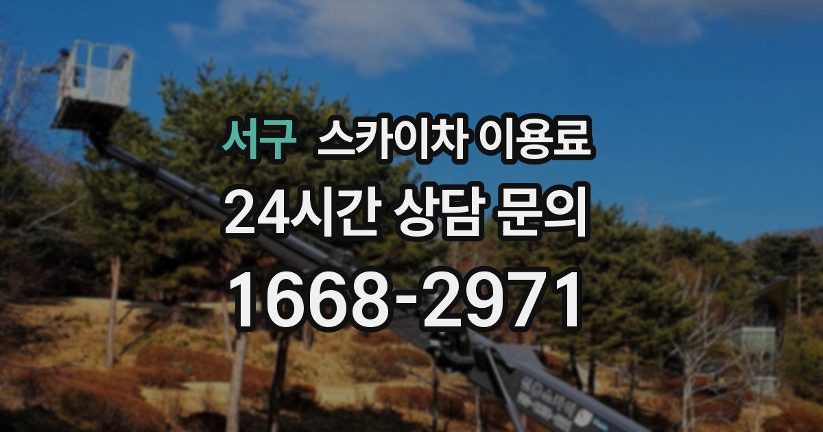 서구 스카이차 이용료