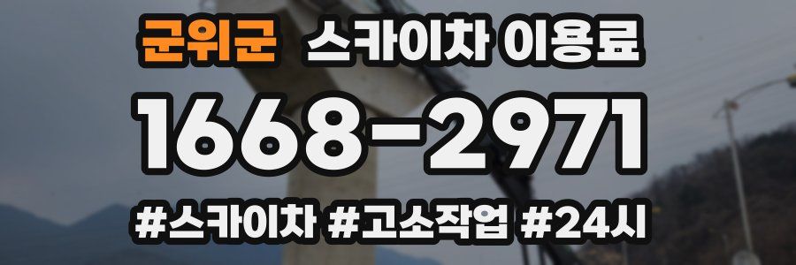 군위군 스카이차 이용료