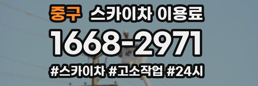 중구 스카이차 이용료