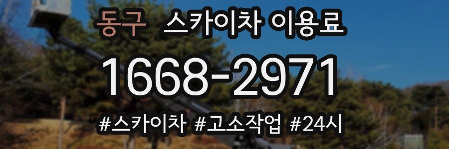 동구 스카이차 이용료
