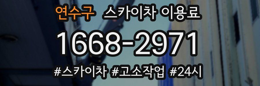 연수구 스카이차 이용료