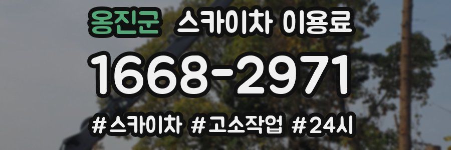 옹진군 스카이차 이용료