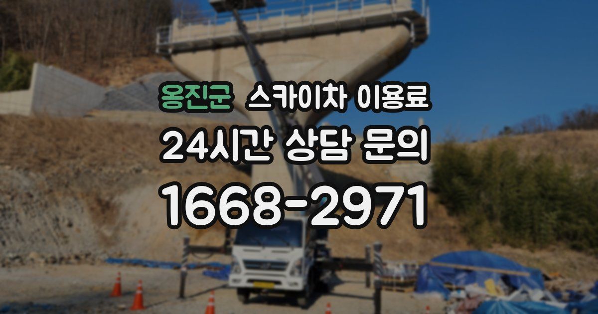 옹진군 스카이차 이용료