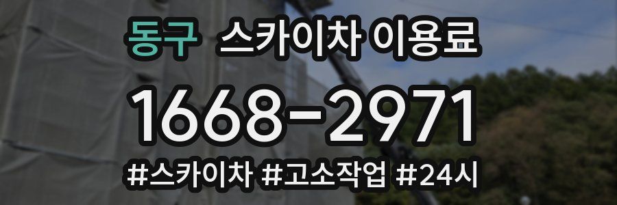 동구 스카이차 이용료