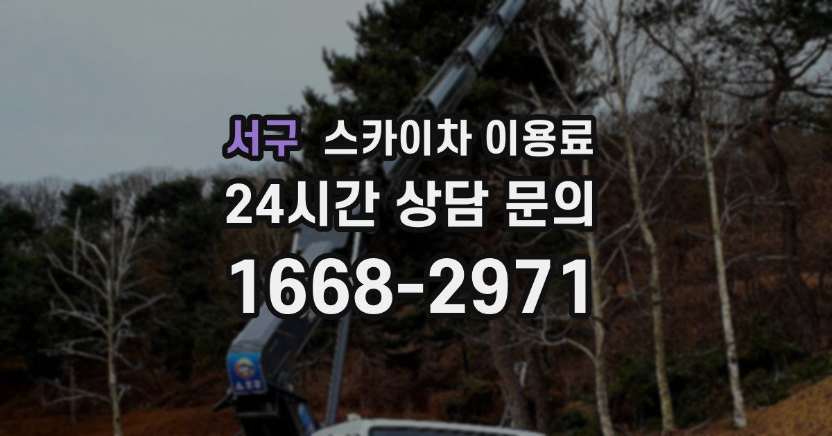 서구 스카이차 이용료