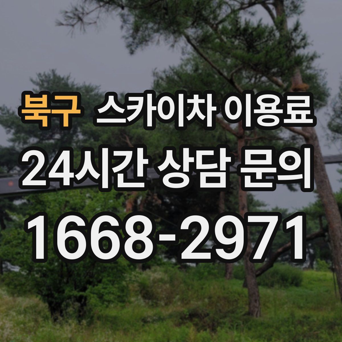 북구 스카이차 이용료