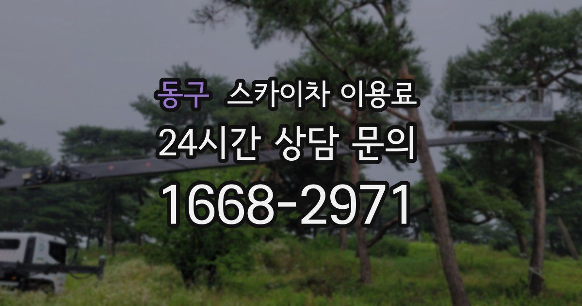 동구 스카이차 이용료