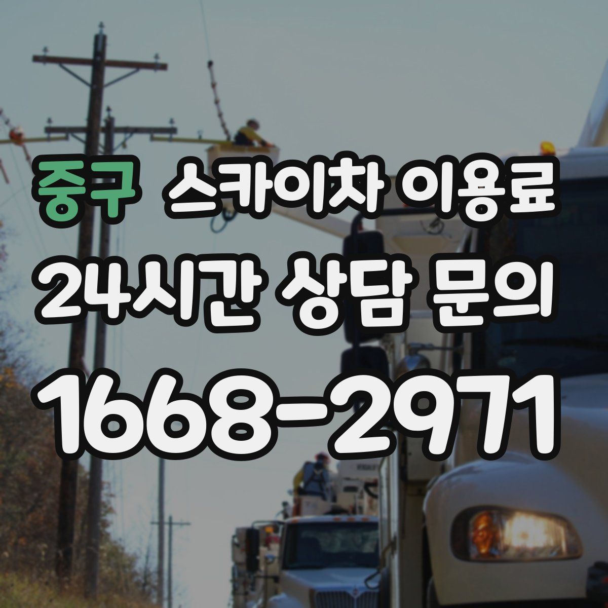 중구 스카이차 이용료