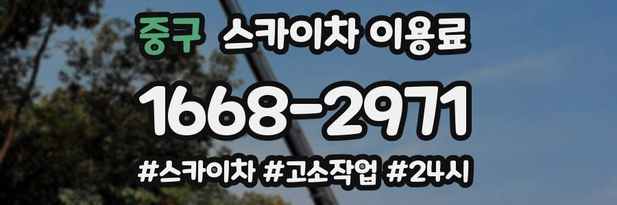 중구 스카이차 이용료