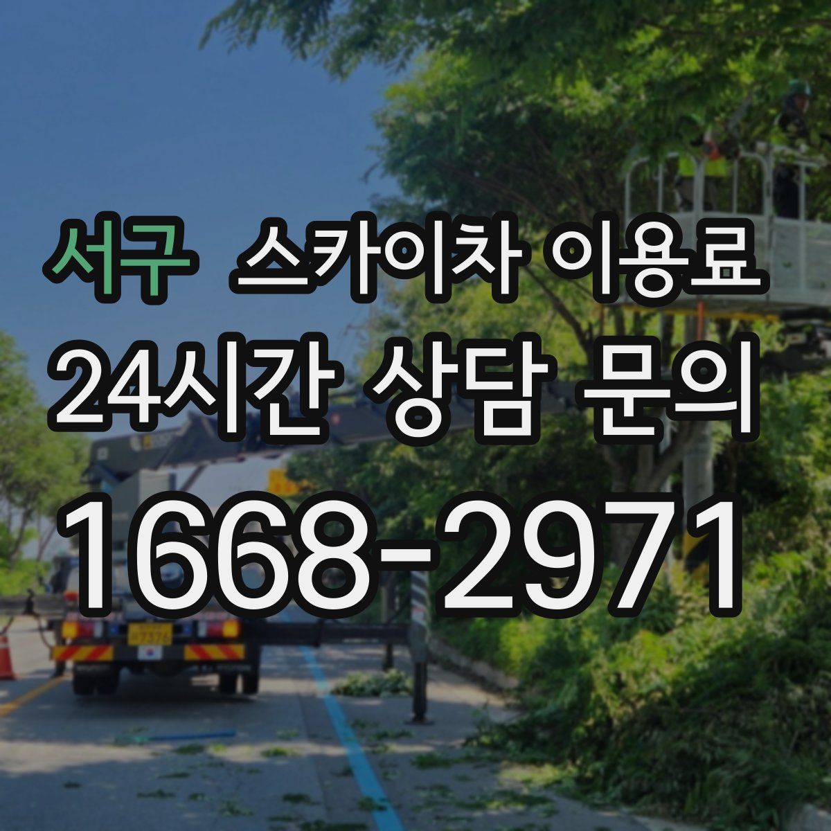 서구 스카이차 이용료