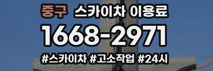 중구 스카이차 이용료