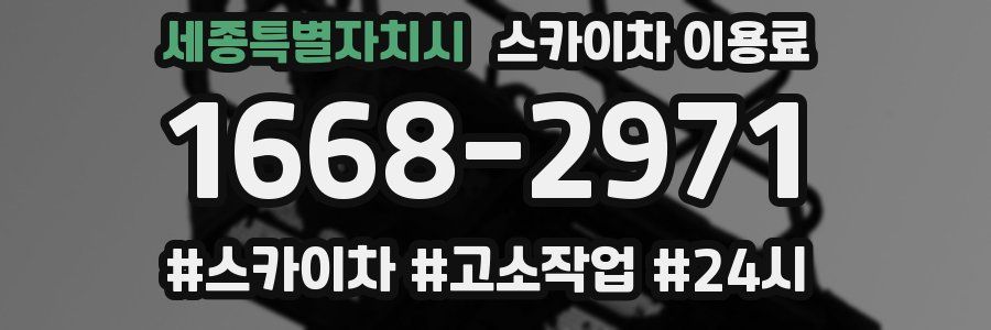 세종특별자치시 스카이차 이용료