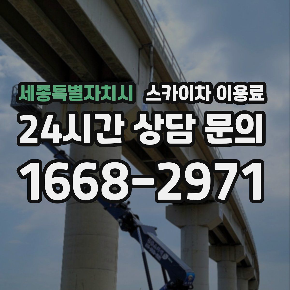 세종특별자치시 스카이차 이용료