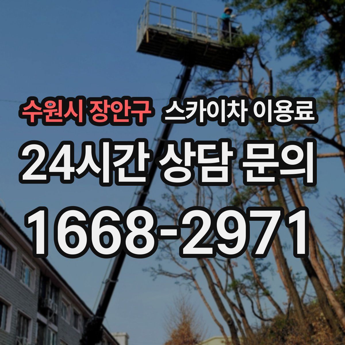수원시 장안구 스카이차 이용료