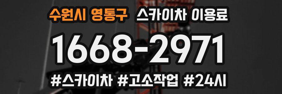 수원시 영통구 스카이차 이용료