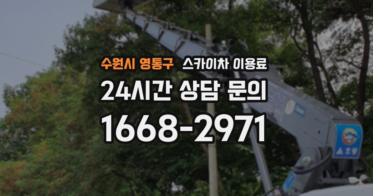 수원시 영통구 스카이차 이용료