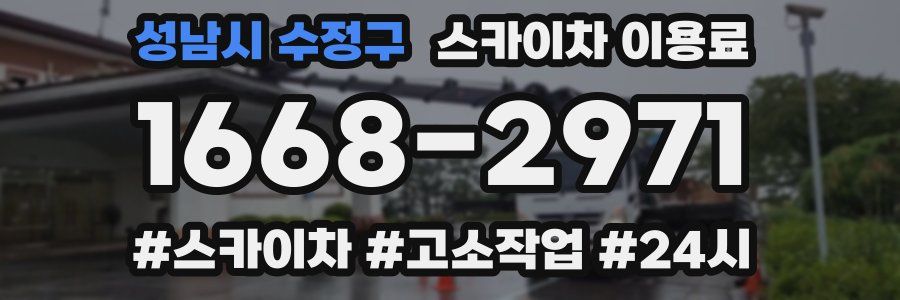 성남시 수정구 스카이차 이용료