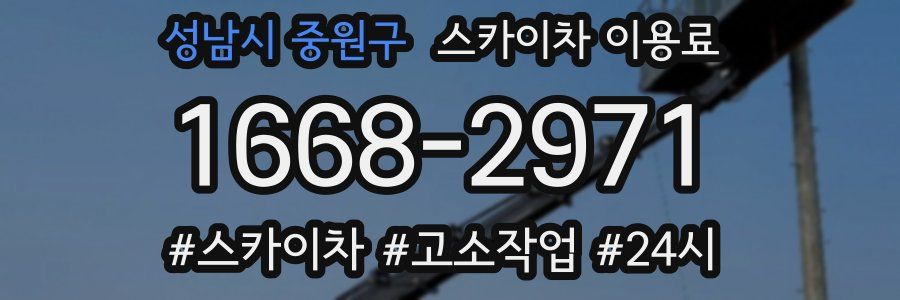 성남시 중원구 스카이차 이용료