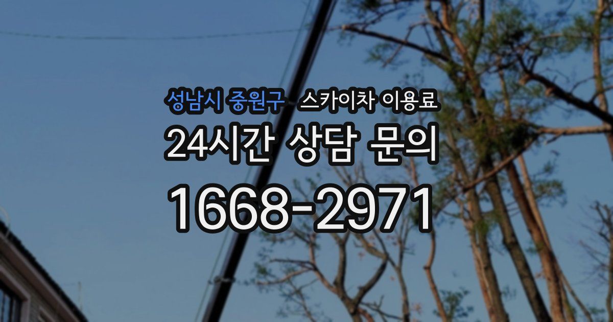 성남시 중원구 스카이차 이용료