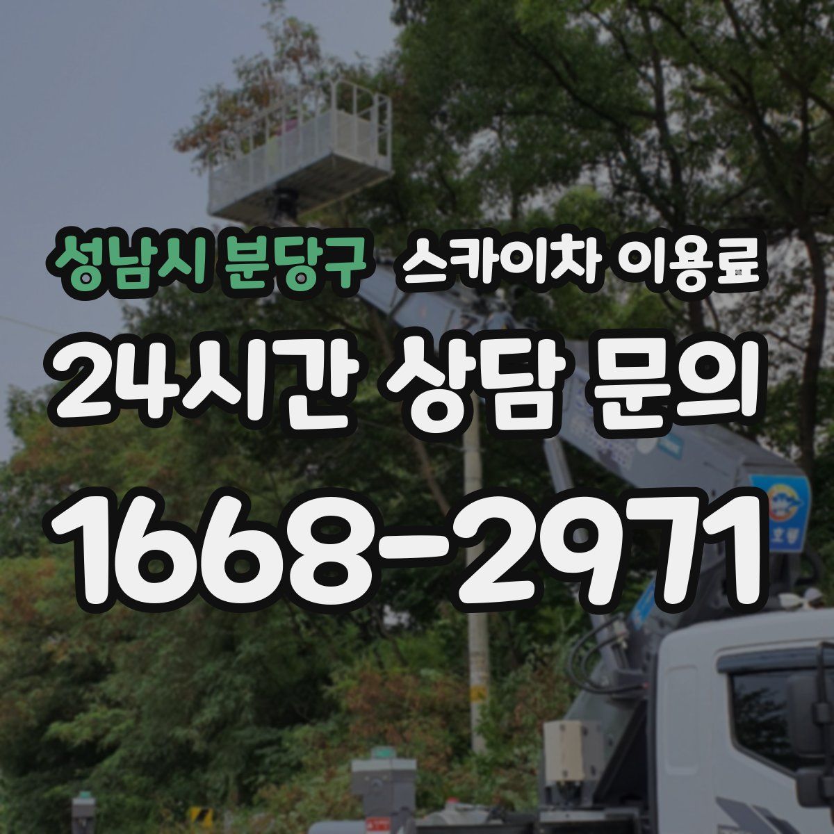 성남시 분당구 스카이차 이용료