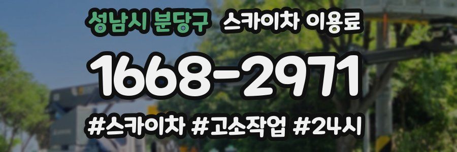성남시 분당구 스카이차 이용료