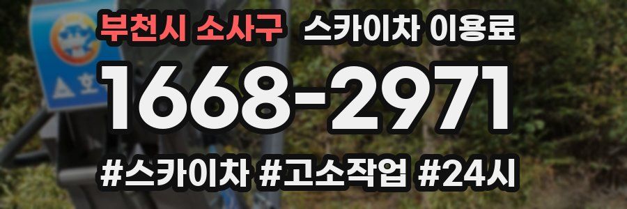 부천시 소사구 스카이차 이용료