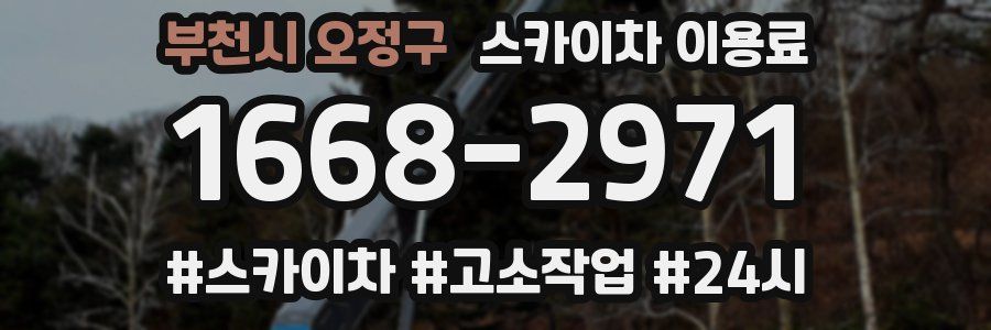 부천시 오정구 스카이차 이용료